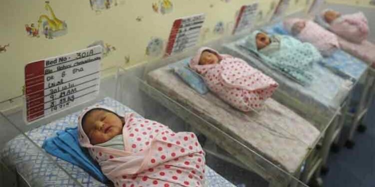 Global Fertility