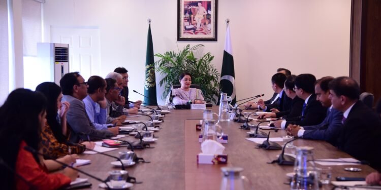 Chinese Delegation