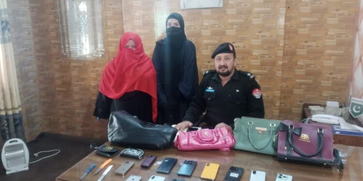 Haripur Police Arrest Main Suspect in Mobile and Handbag