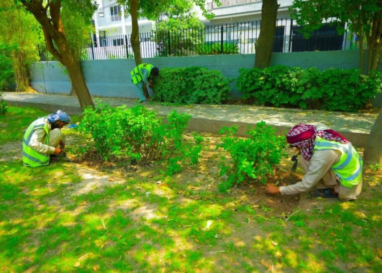 "PHA Beautifies Gujjar Park Under DG Ahmed Hassan Ranjha’s Vision to Promote Green, Safe Recreation in Rawalpindi"