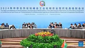 Maintaining global vision, China staunch supporter of global development