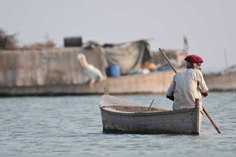 VRW’s documentary series won 18 local and international awards.