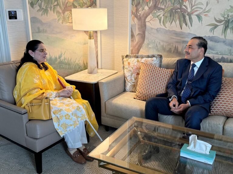 Field Marshal Syed Asim Munir, NI (M), Chief of Army Staff (COAS), met with Ms. Saima Saleem