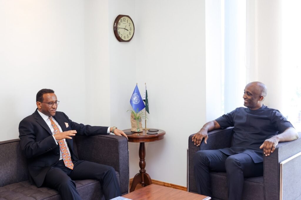 UN Pakistan Coordinate for Food Systems Summit in Addis Ababa