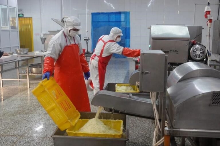Qingdao manufacturers embrace dual standards to boost trade integration Qingdao manufacturers embrace dual standards to boost trade integration