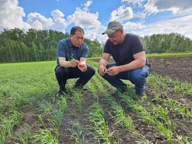 China, Central Asia make continuous efforts to deepen agricultural cooperation
