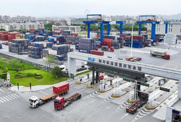 China-Europe freight trains make 110,000 trips, marking new milestone