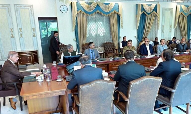 Government Advancing Agenda to Digitize Economy: PM Shehbaz