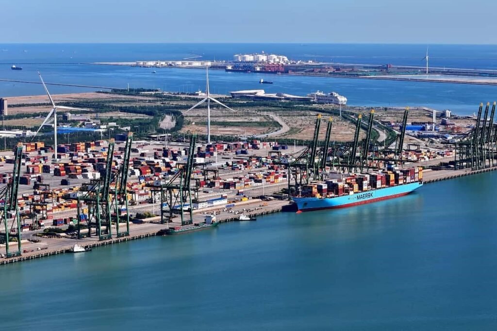 China's port economy powers ahead with strong momentum
