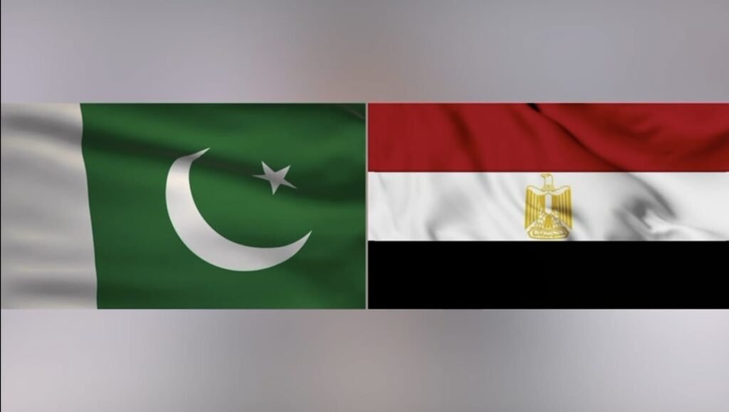 General Sahir Shamshad Mirza Meets Egyptian Leadership General Sahir Shamshad Mirza Meets Egyptian Leadership