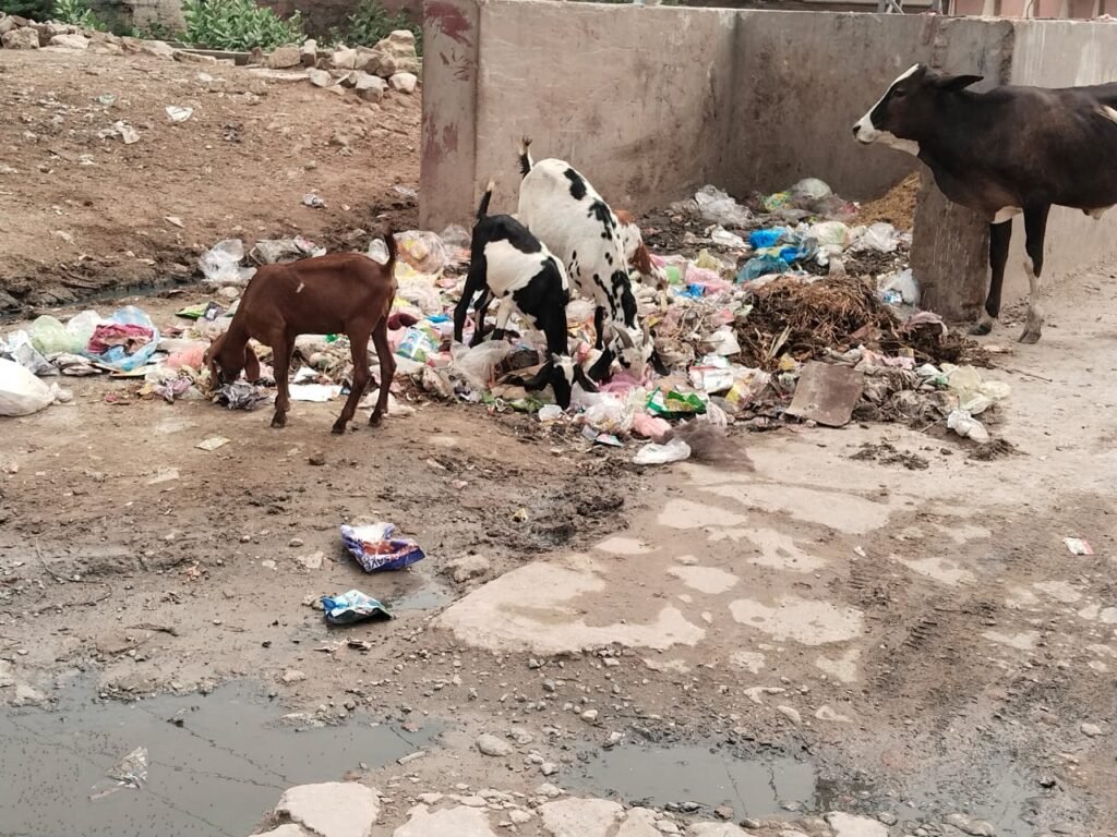Pind Dadan Khan city has started contributing to the spread of filth. Pind Dadan Khan city has started contributing to the spread of filth.