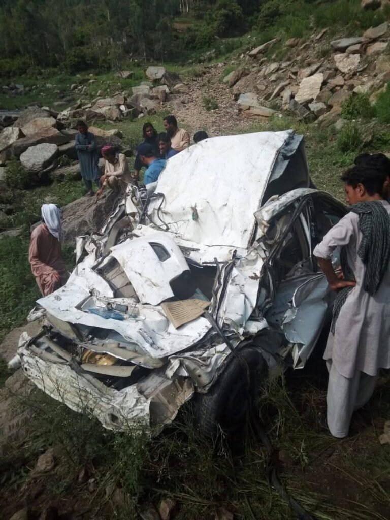 A car Plunges into Gorge 6 Dead Including Women and Children 7 Injured in Buner district
