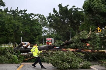 Typhoon Wipha pummels Guangdong Province