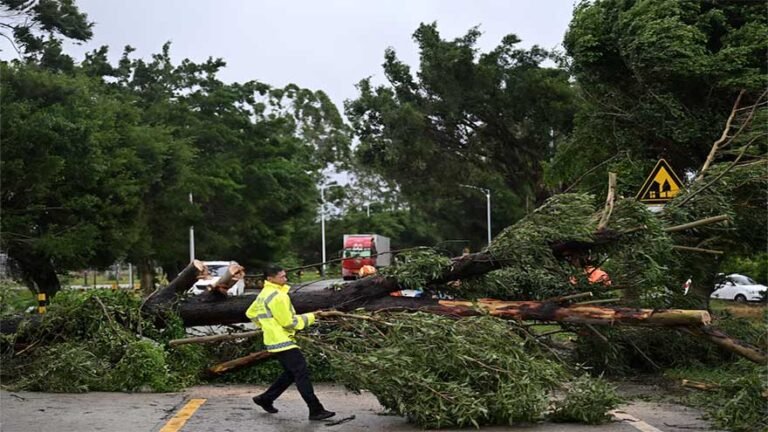 Typhoon Wipha pummels Guangdong Province Typhoon Wipha pummels Guangdong Province