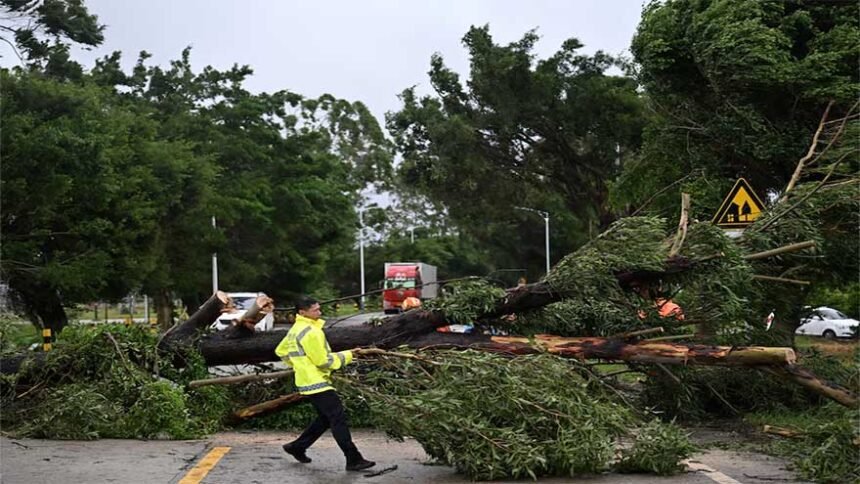 Typhoon Wipha pummels Guangdong Province