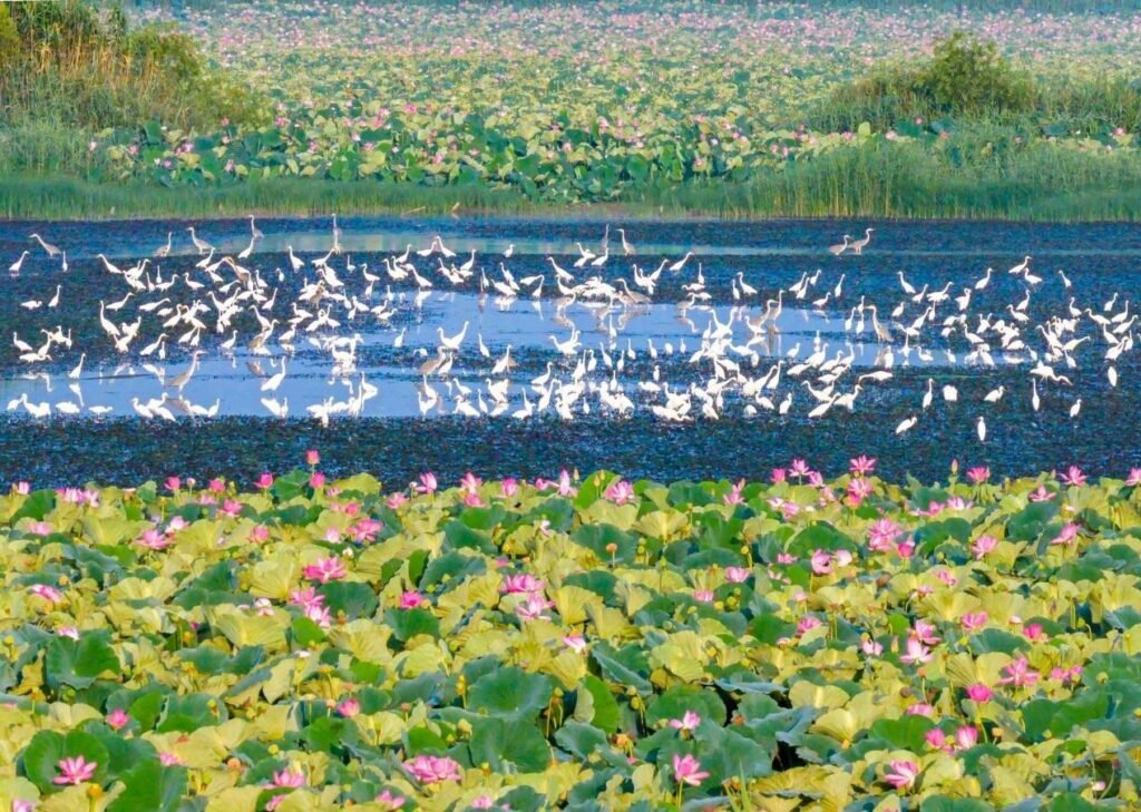 China's role, insights in building clean, beautiful world China's role, insights in building clean, beautiful world