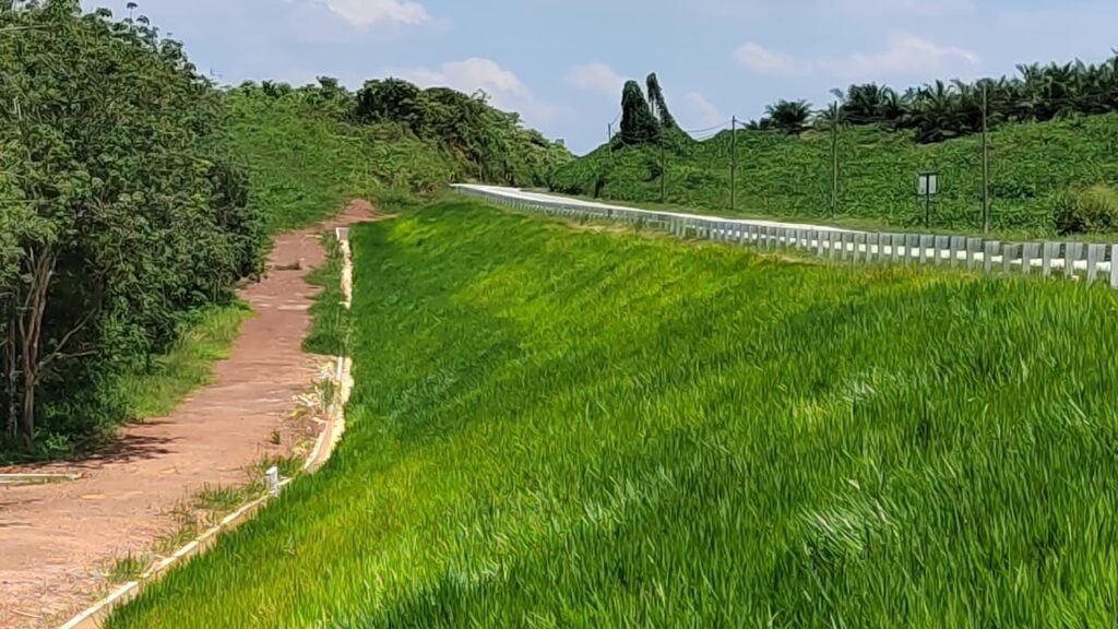 Punjab Forest deptt starts using hydroseeding technology for barren lands