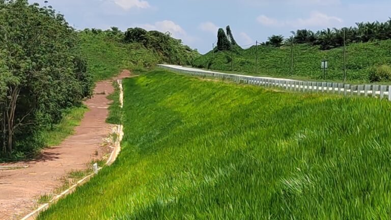 Punjab Forest deptt starts using hydroseeding technology for barren lands Punjab Forest deptt starts using hydroseeding technology for barren lands