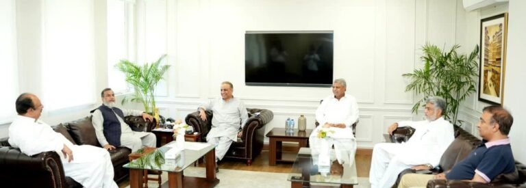 IPP demands division of all provinces along administrative lines