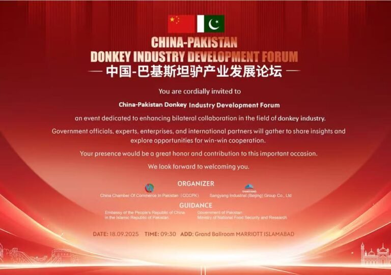 Modern donkey farming under China-Pakistan livestock cooperation