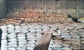 Numberdar convention in Liaqatpur spurs wheat expansion