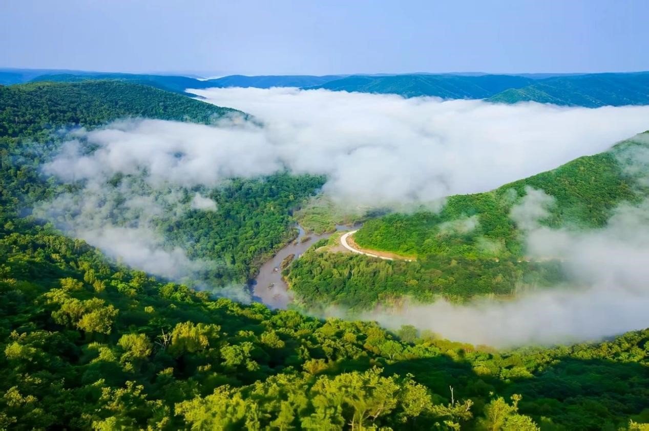 Revitalizing forest communities through science and technology in the Lesser Khingan Mountains