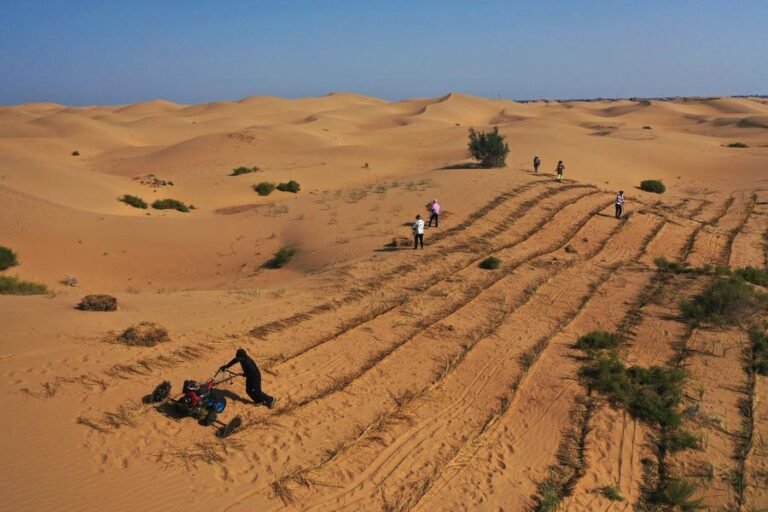 China Desertification Control Turns Sand into Sustainability Kubuqi Desert showcasing China desertification control success