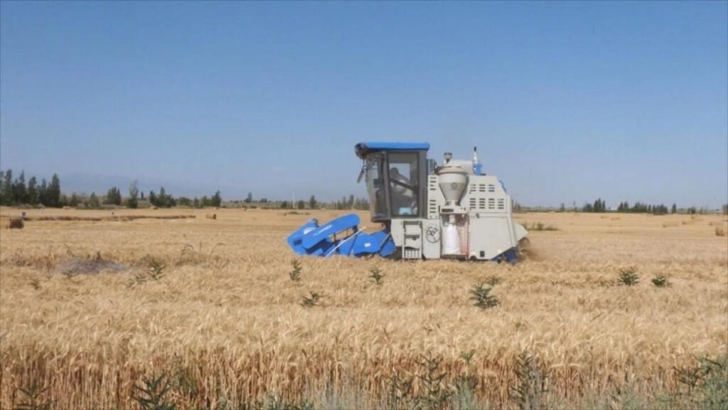 Wheat farmers in Pakistan preparing fields after 2025 floods for sustainable crop recovery