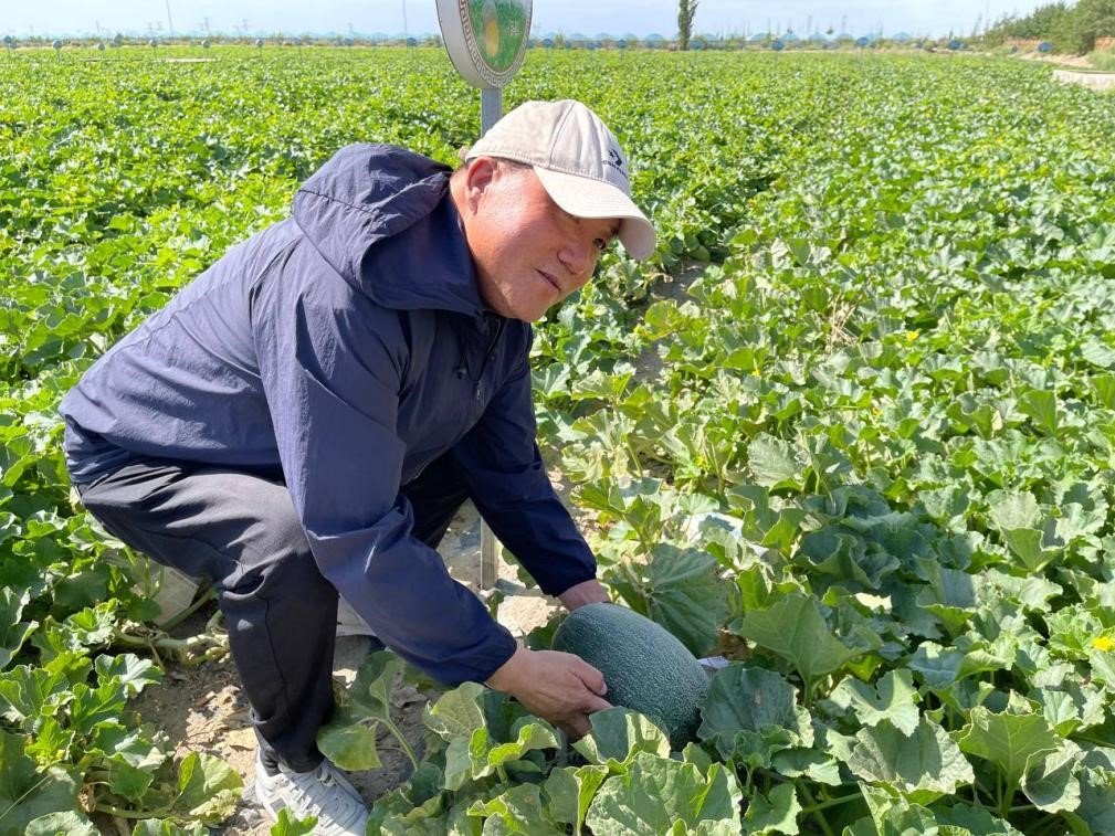 A ‘sweet bond’ on Silk Road