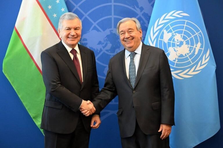 Uzbekistan UN partnership dialogue at General Assembly session