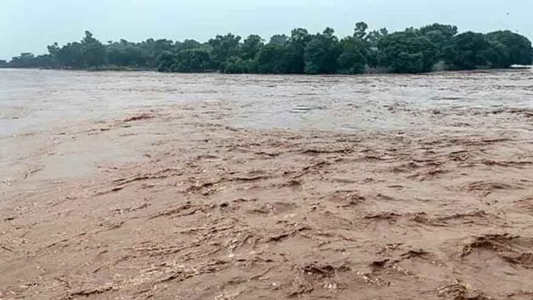 Punjab Reels Under Flood Fury as Sutlej, Ravi and Chenab Rivers Overflow