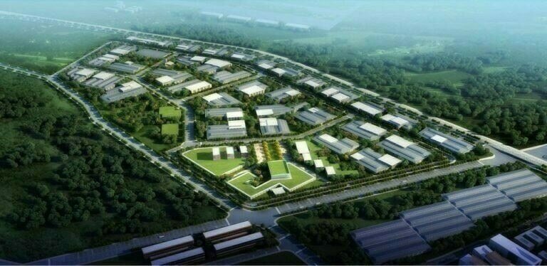 Chinese, German, Canadian firms investing in Faisalabad, Sheikhupura SEZs
