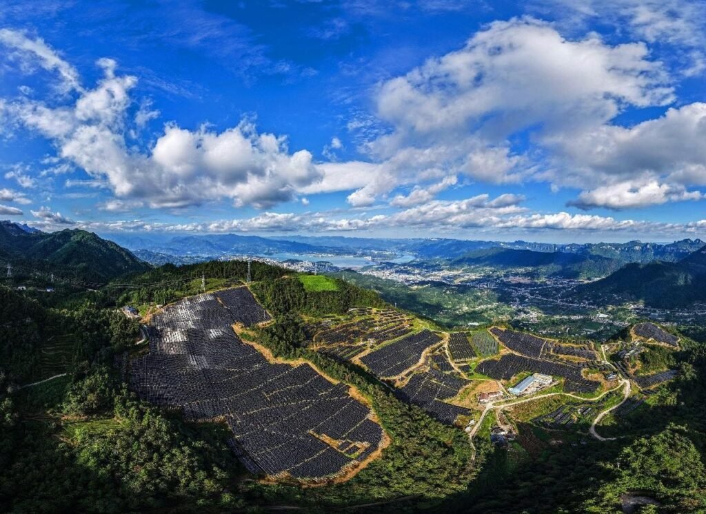 China's commitment bolsters global confidence in climate governance China's commitment bolsters global confidence in climate governance