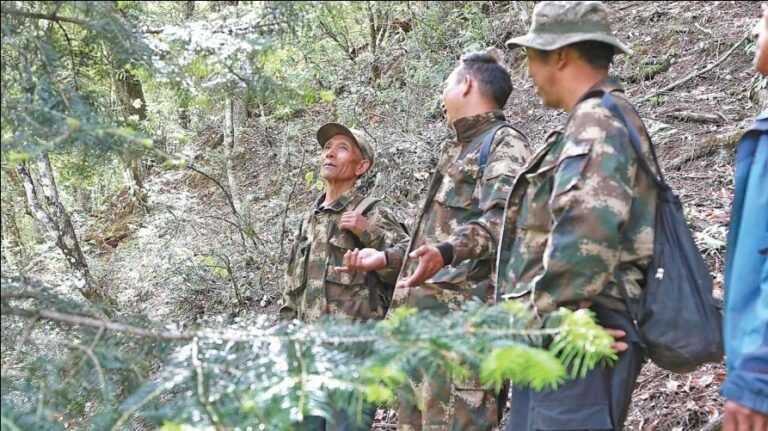 Father and son devoted over 30 years to protecting the Yunnan golden hair monkeys