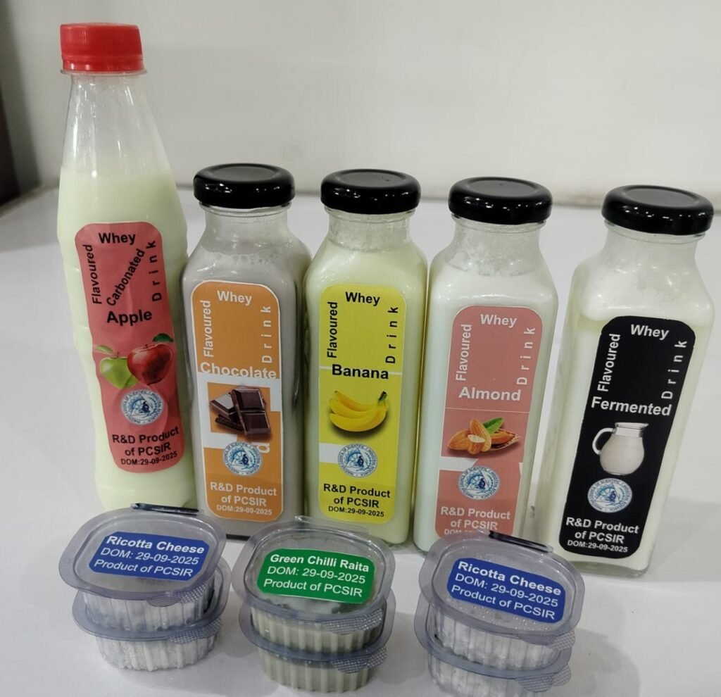 Whey Valorisation Project Empowers Cheese Processors in Pakistan Dairy industry stakeholders attending whey valorisation training session
