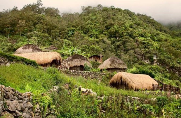 Role of aboriginal Communities in Preserving Biodiversity Role of aboriginal Communities in Preserving Biodiversity