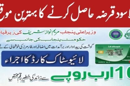 Punjab disburses Rs370m to farmers under livestock loan scheme