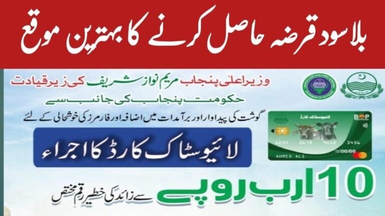 Punjab disburses Rs370m to farmers under livestock loan scheme