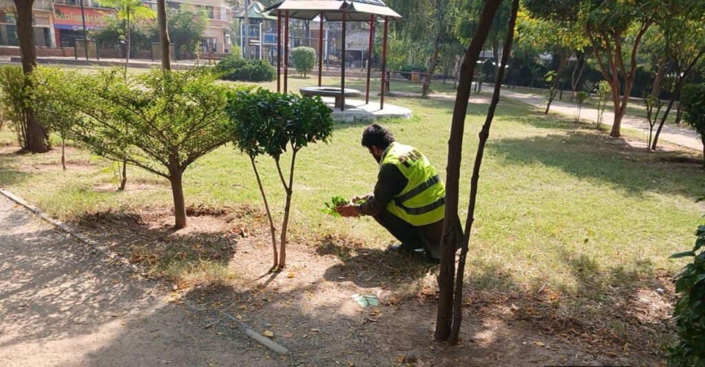 PHA Rawalpindi leads citywide beautification and tree plantation drive PHA Rawalpindi staff planting trees and decorating green belts in citywide beautification drive