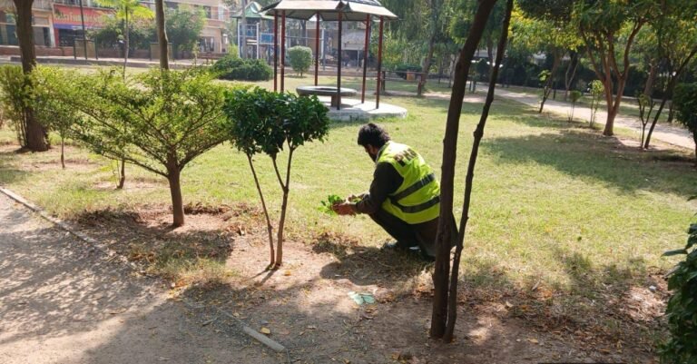 PHA Rawalpindi staff planting trees and decorating green belts in citywide beautification drive