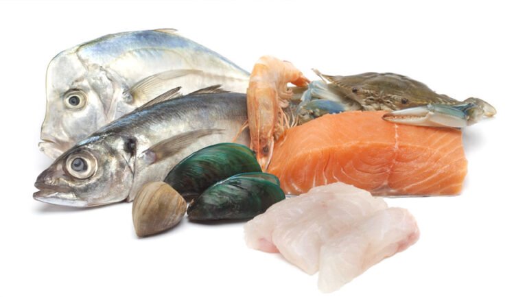 Pakistan fish and seafood exports rise to $125.4 million in first quarter
