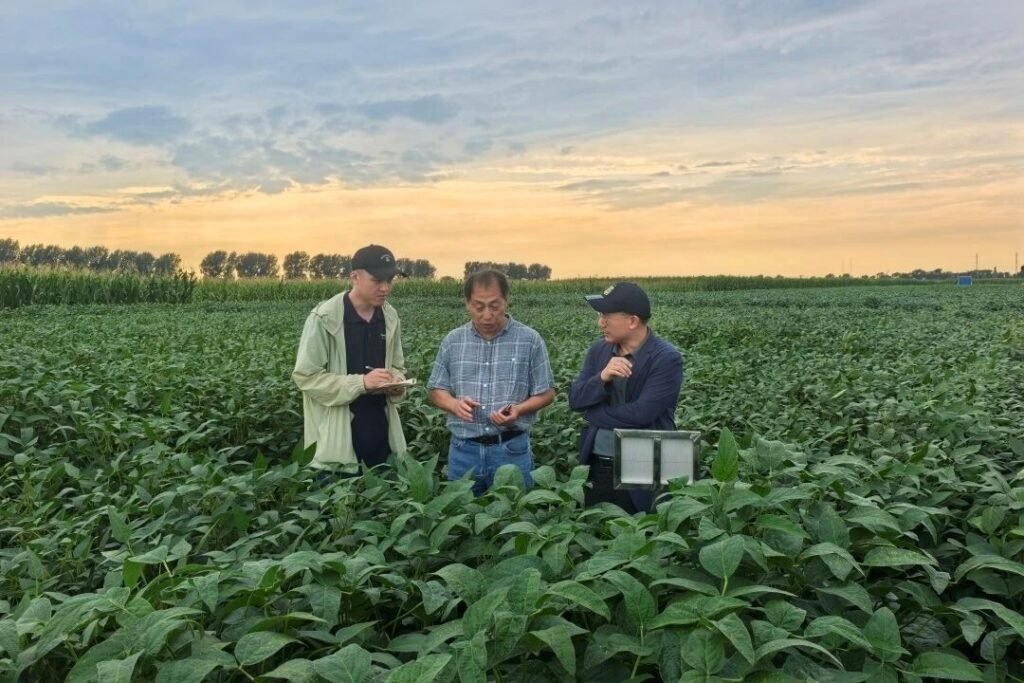 AI technology applied to improve crop breeding AI crop breeding technology Fengdeng model rice maize gene discoveries