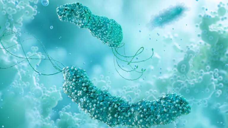 Silent stomach infection linked to millions of cancer cases worldwide