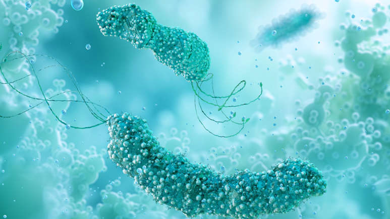 Silent Stomach Infection Could Cause Millions of Cancer Cases