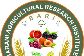 Govt to distribute 30,000 blackberry, peach, grapes and fig plants in Potohar