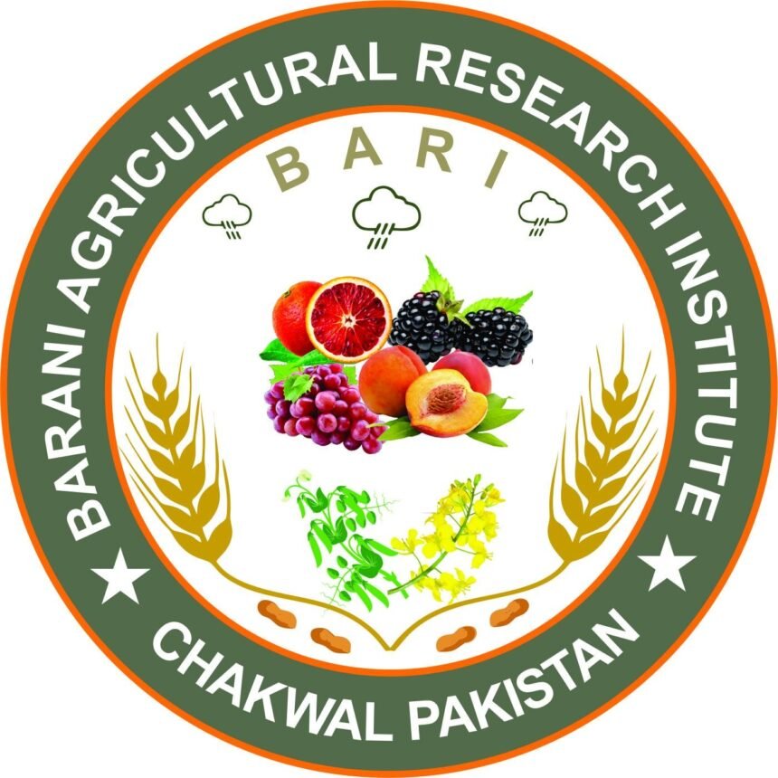 Barani Institute Chakwal produces over 60 crop varieties