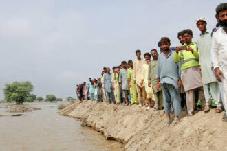 Punjab begins survey of flood-hit irrigation infrastructure