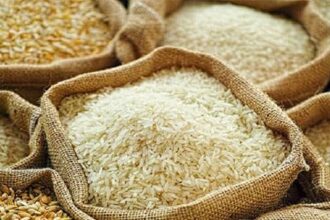 Pakistan acquires 945 germplasm lines from China, IRRI to boost rice breeding