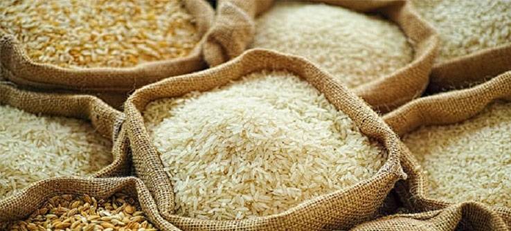 Pakistan acquires 945 germplasm lines from China, IRRI to boost rice breeding