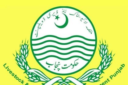 Punjab govt to provide new veterinary diagnostic equipment at tehsil level